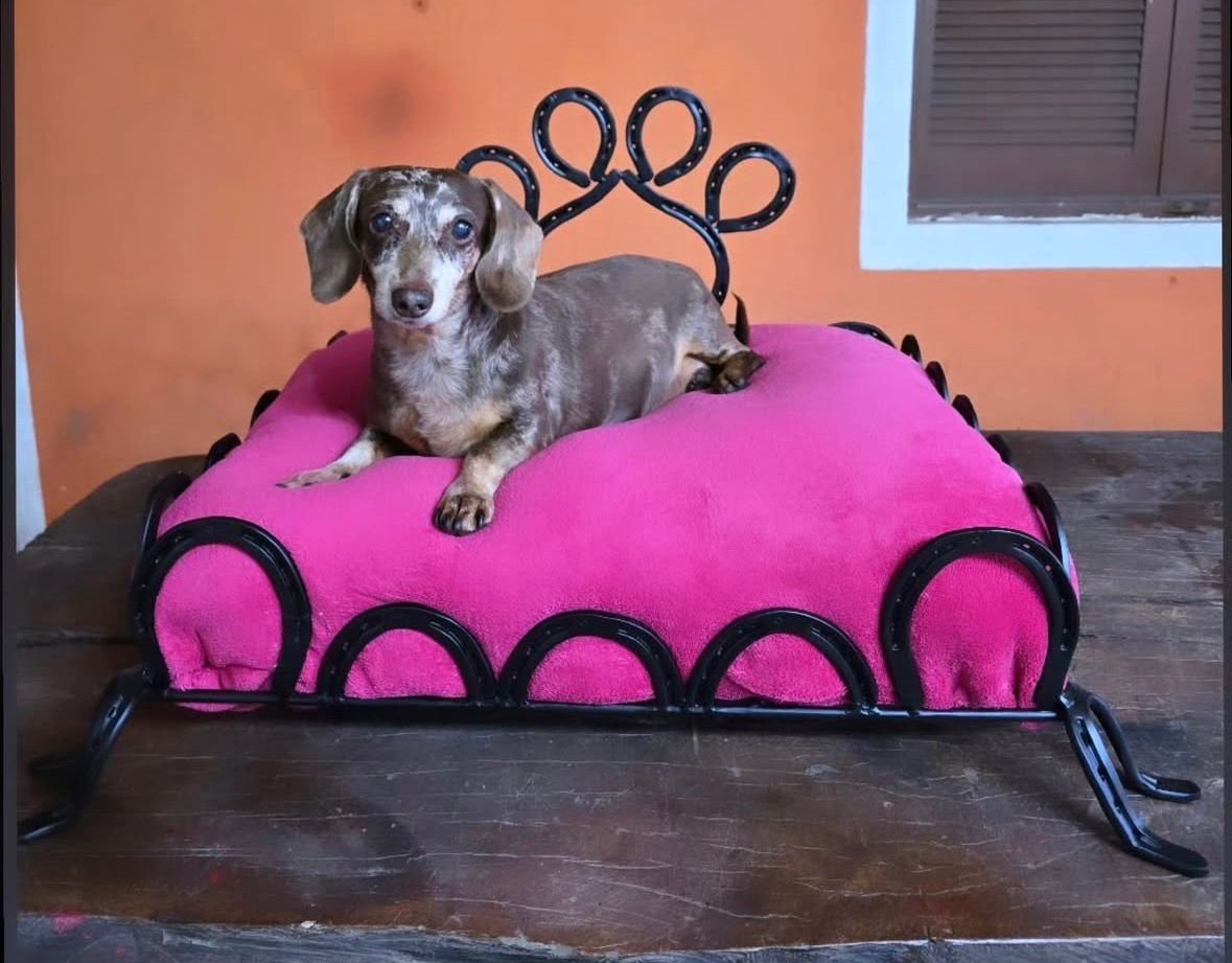 Cama de pet