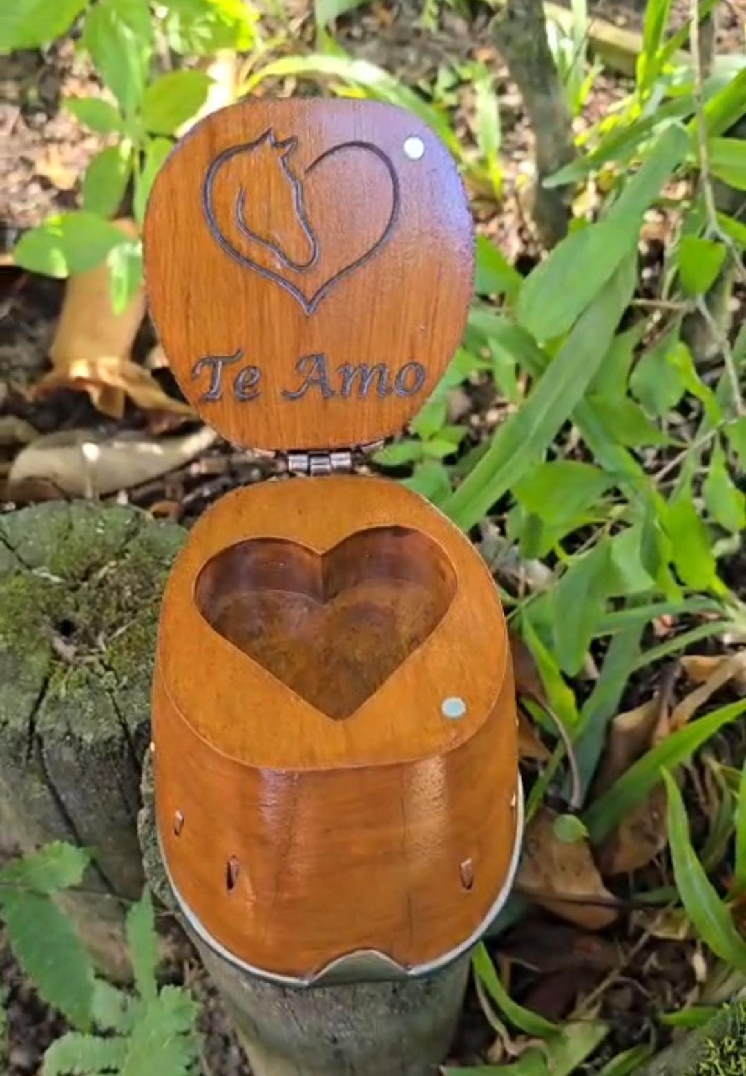 Casco Porta Joias Sertanejo