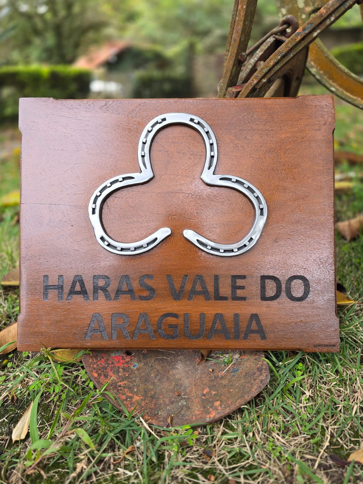 Placa com Ferradura 40x50cm