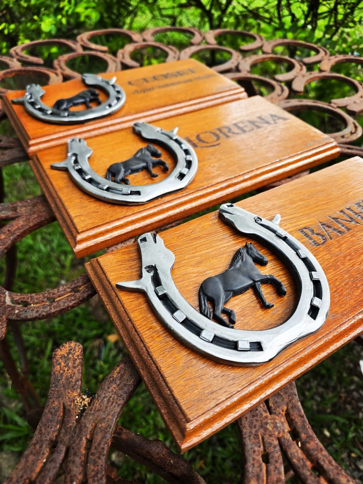 Placa Personalizada Cavalo