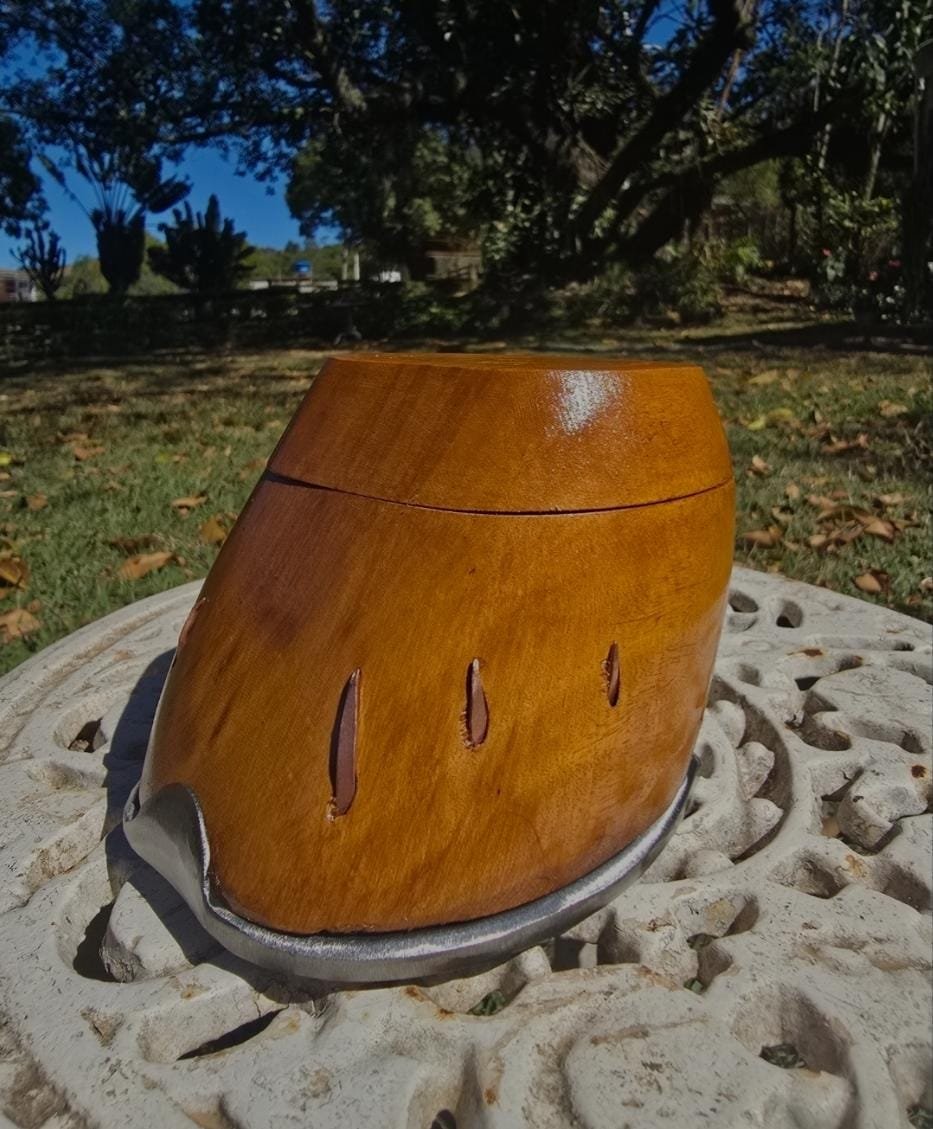 Casco Porta Aliança